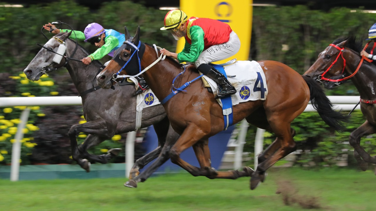 Jumbo Legend (outside) salutes at Happy Valley on Wednesday night. Photos: Kenneth Chan
