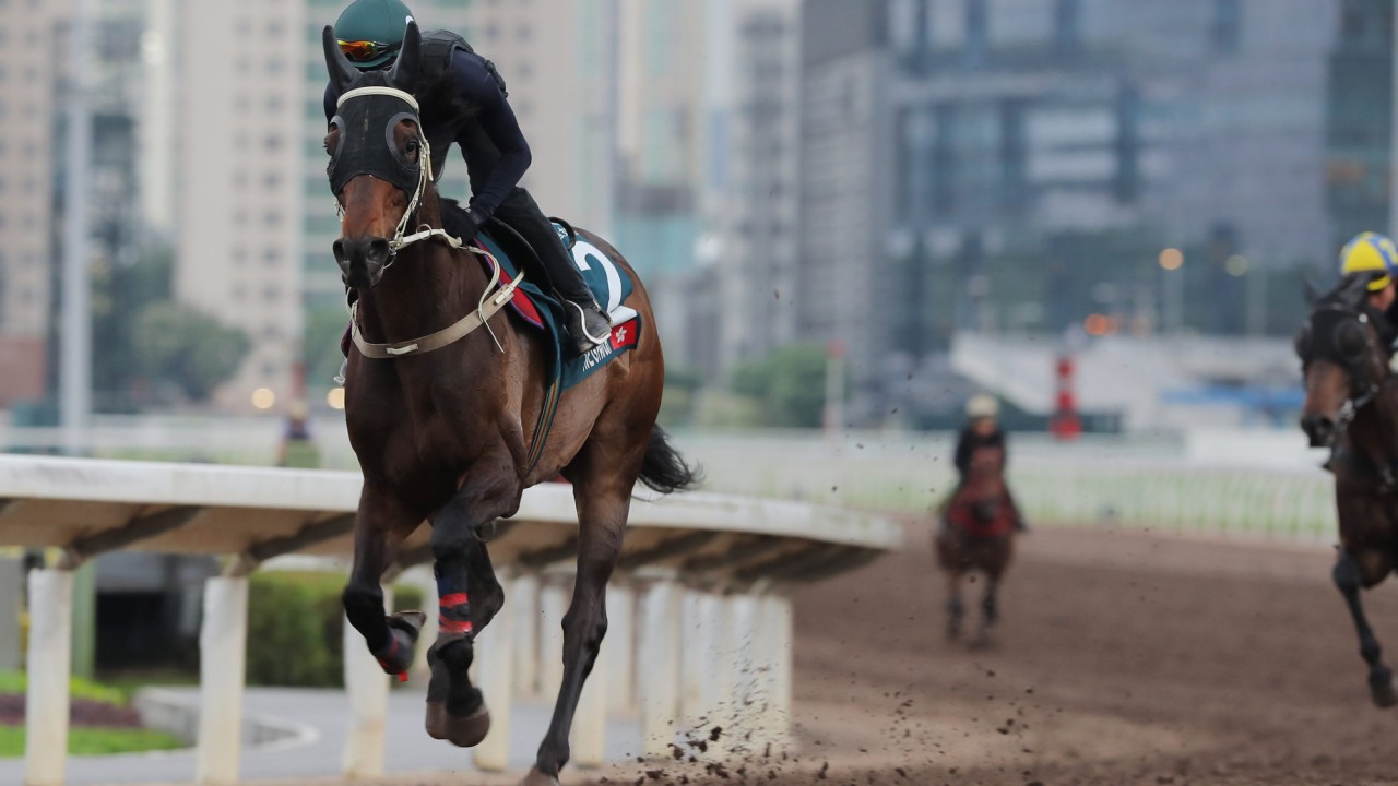 Five G Patch gallops on the all-weather track at Sha Tin on April 25.