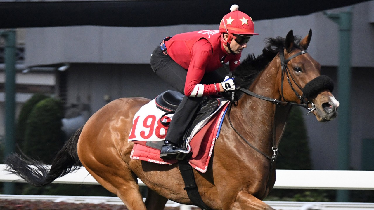 Douglas Whyte gallops Russian Emperor at Sha Tin last month. Photo: Kenneth Chan