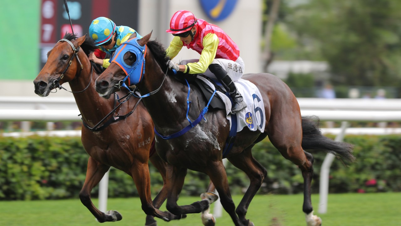 Lo Pan Spirit (outside) fights strongly to beat Awesome Treasure on debut.