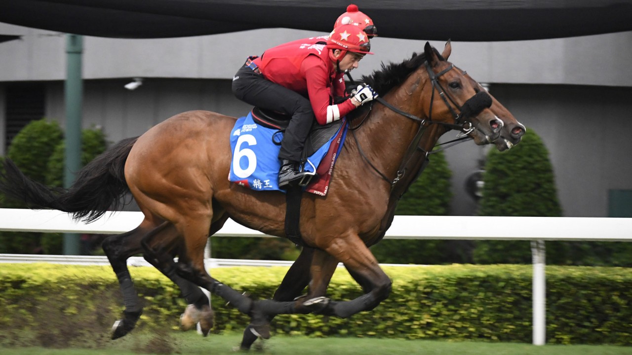 Douglas Whyte gallops Russian Emperor at Sha Tin on Tuesday morning.