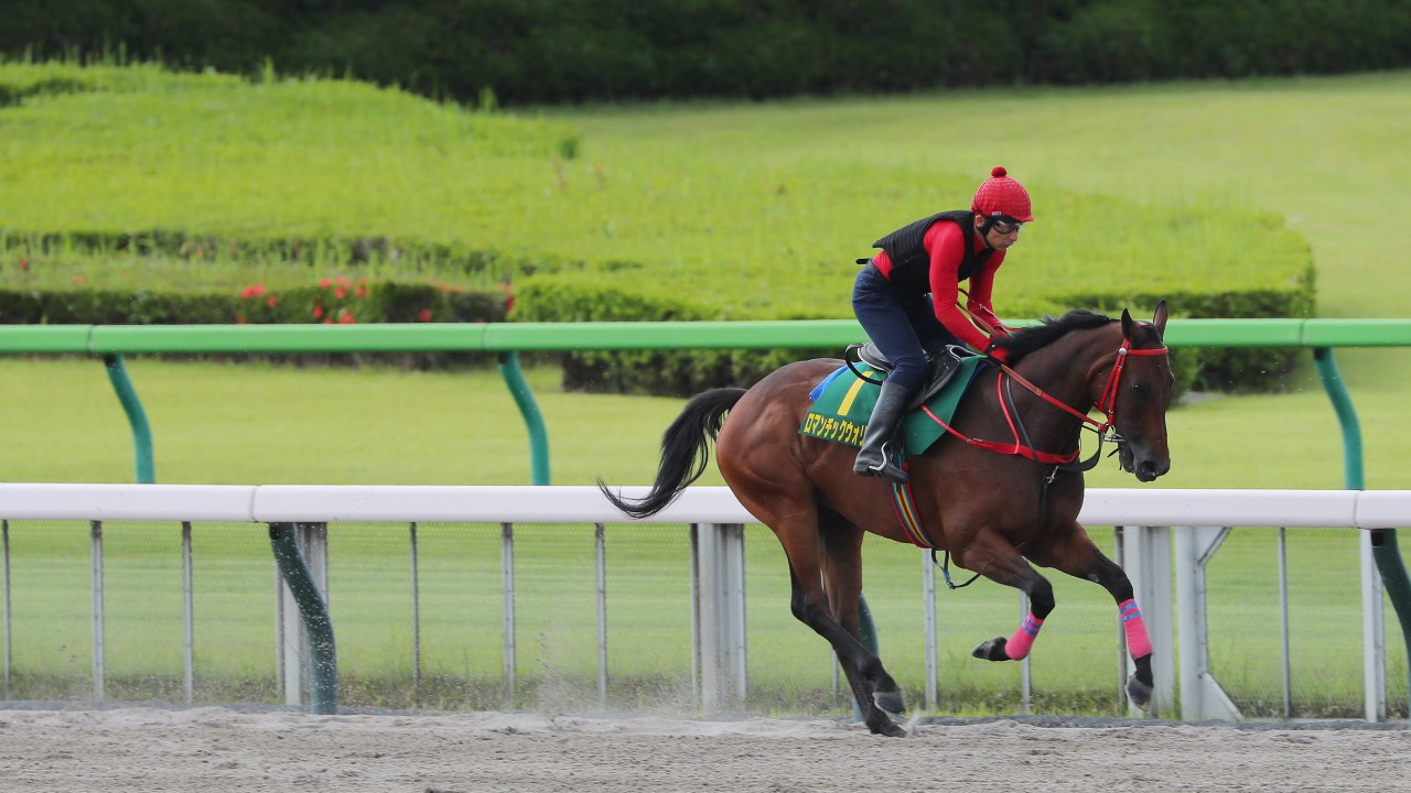Romantic Warrior works on the Tokyo dirt track on Thursday morning. Photos: Kenneth Chan