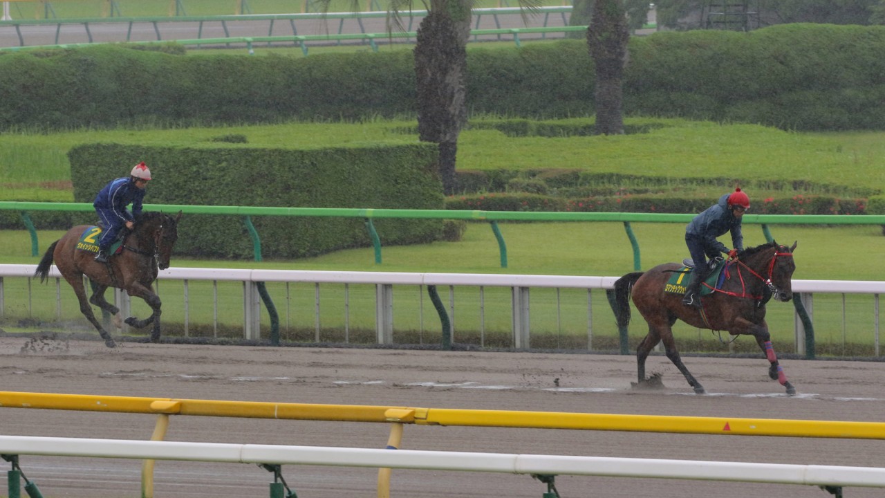Romantic Warrior leads Voyage Bubble through the wet conditions at Tokyo racecourse on Friday. 