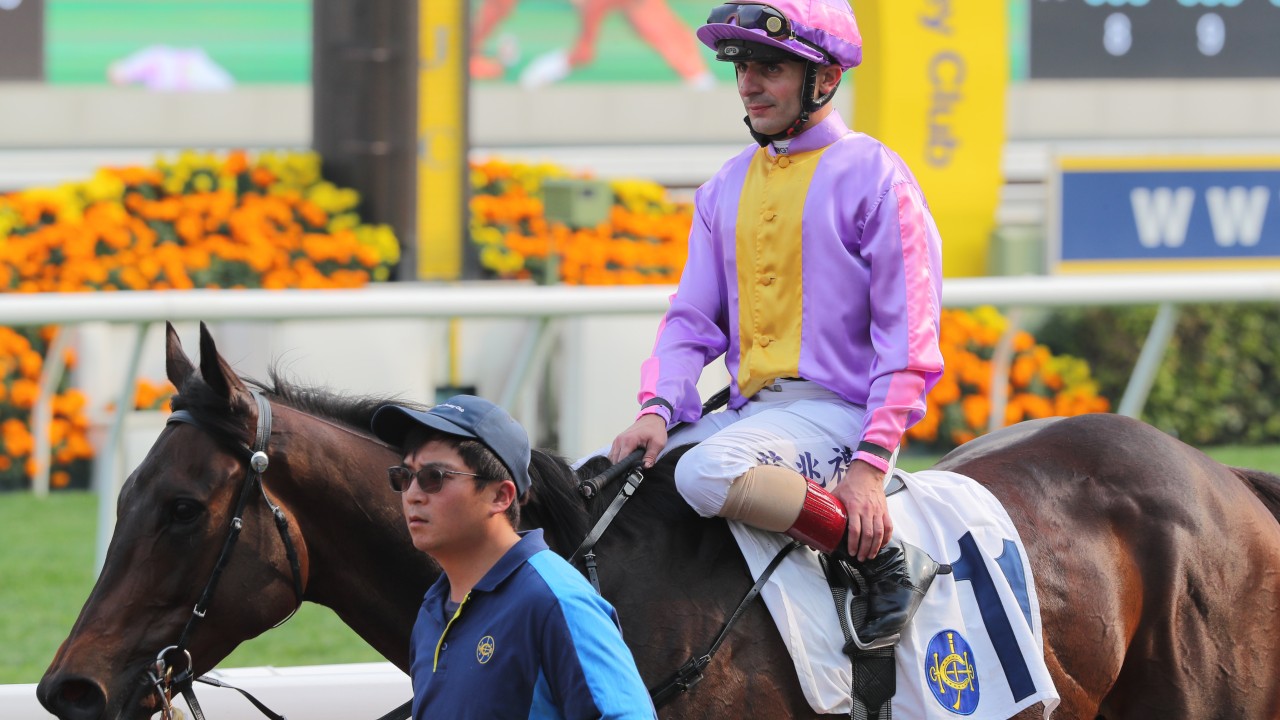 Andrea Atzeni has regained the Derby ride on Johannes Brahms. Photos: Kenneth Chan
