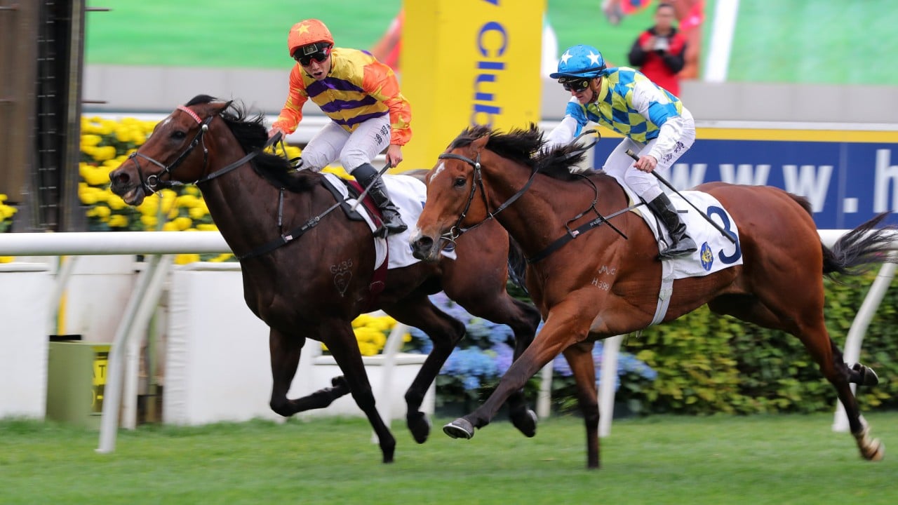 Matthew Poon was a Group Two winner at Sha Tin earlier this season.