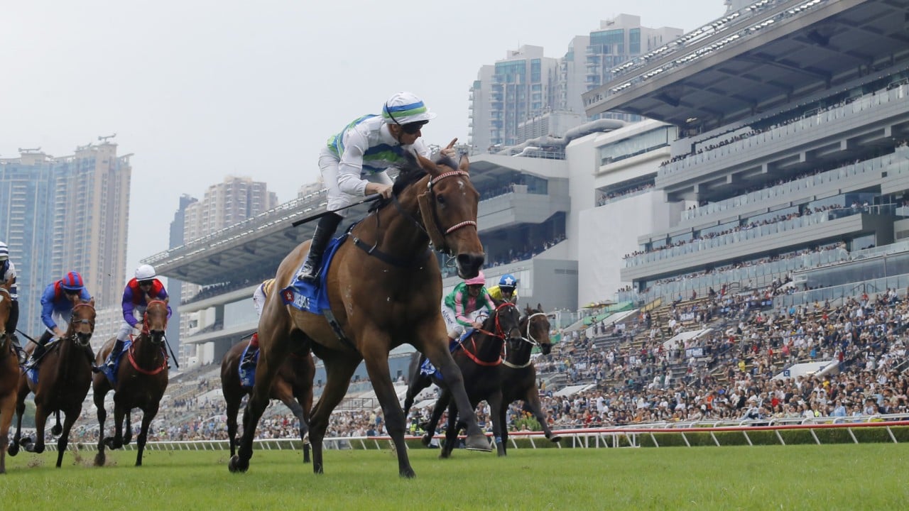 The exploits of Voyage Bubble (pictured), Ka Ying Rising and Romantic Warrior helped bring Hong Kong racing into the mainstream once again.