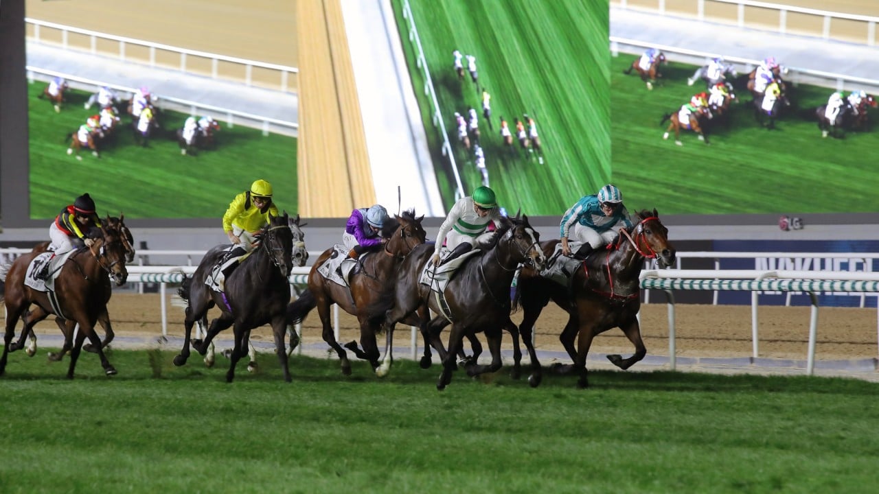 Romantic Warrior (right) helped fly the flag for Hong Kong on the global stage.