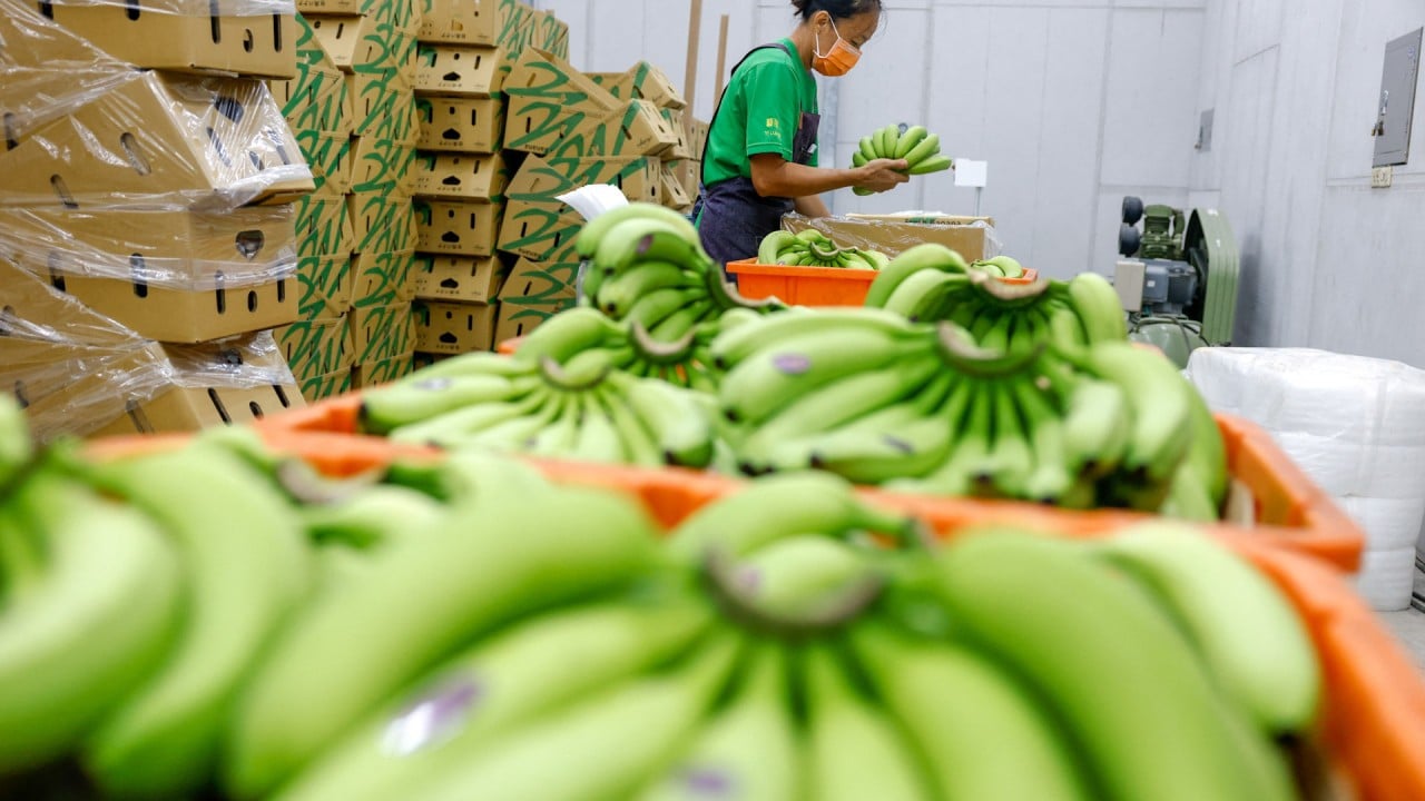 Taiwan firm creates clothing from banana waste