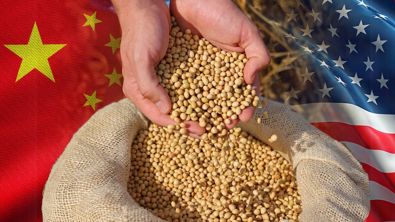 US-China soybean row leaves farmers caught in the middle