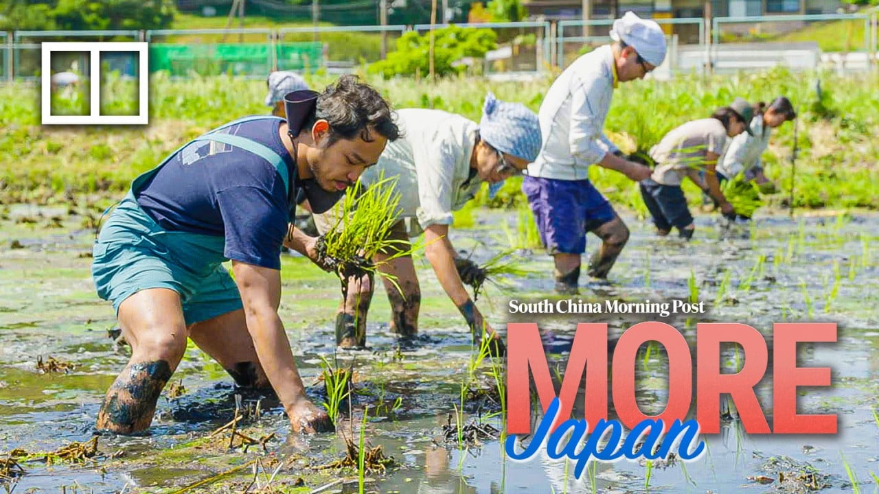 How a network of farms could be your next Japan adventure