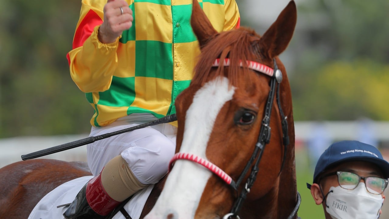Christophe Lemaire enjoys a Sha Tin winner.