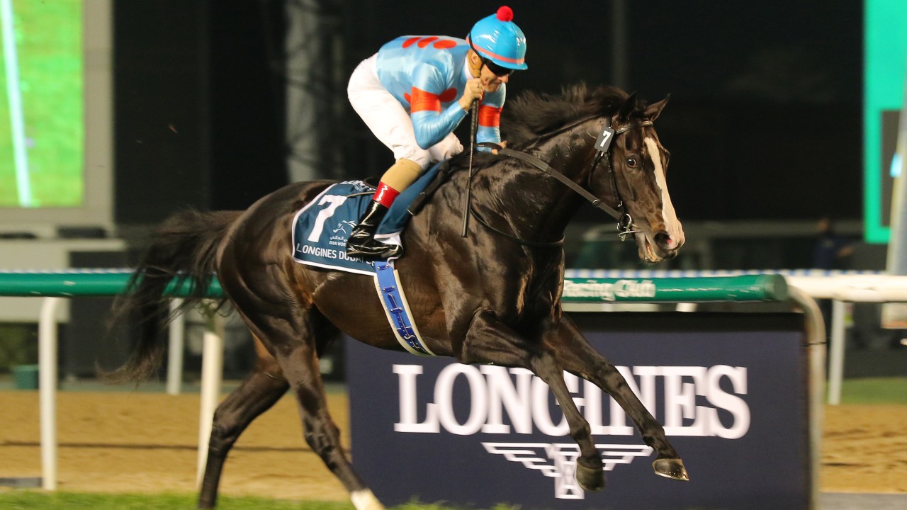 Christophe Lemaire is hoping to carry the Silk Racing colours to victory at Sha Tin this weekend. Photos: Kenneth Chan