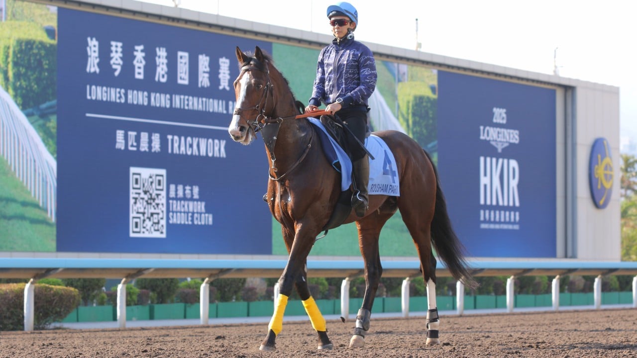 Rousham Park prepares to take on Romantic Warrior in the Hong Kong Cup.