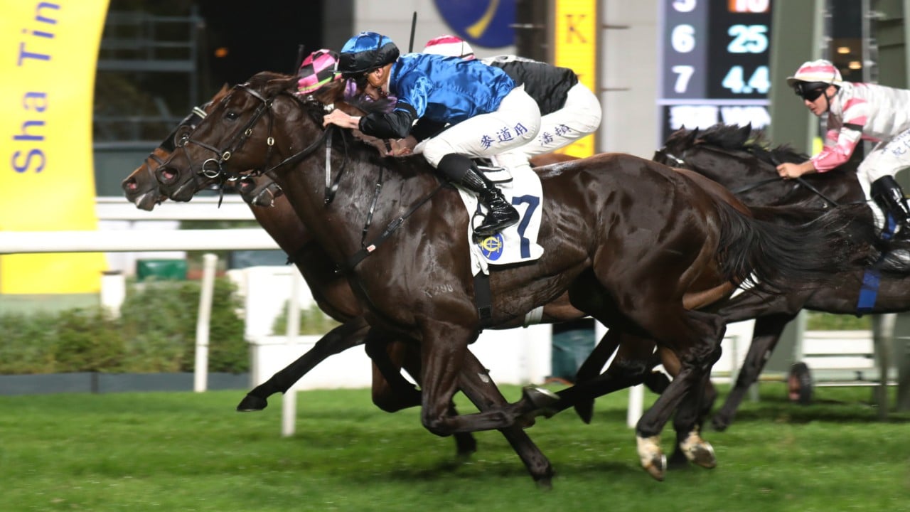 Dazzling Fit storms home down the outside to score last month.