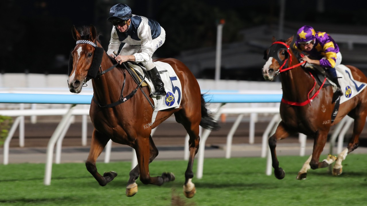 Invincible Ibis saunters to success at Sha Tin. Photos: Kenneth Chan