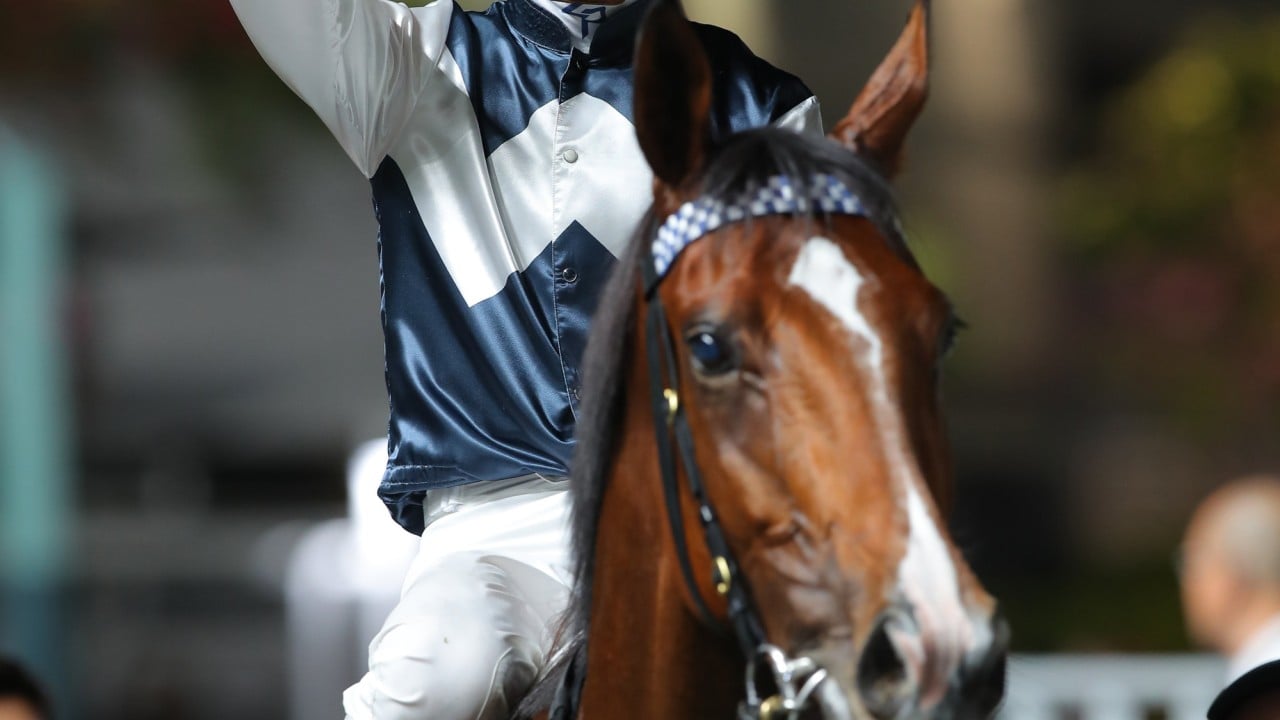 Zac Purton celebrates on Invincible Ibis. 