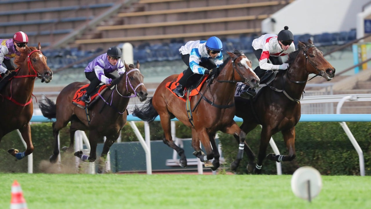 Magnifique (red and white) wins his most recent trial under James Orman.