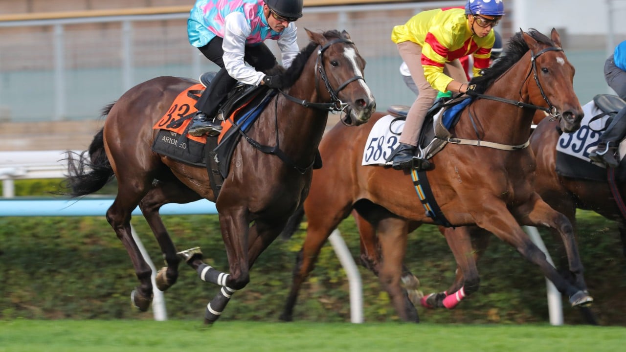 Greater Bae (33) trials at Sha Tin under Andrea Atzeni.