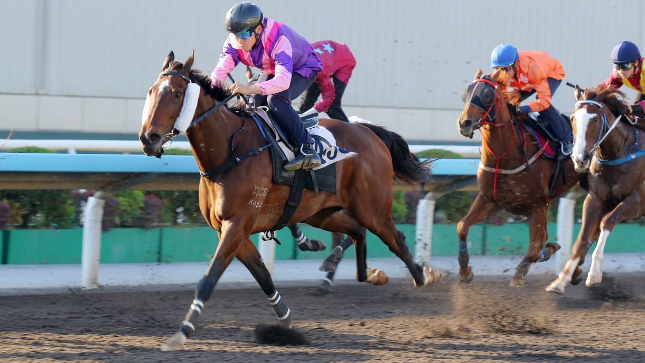 Happy Boss lets down at Sha Tin in a barrier trial under Jerry Chau.