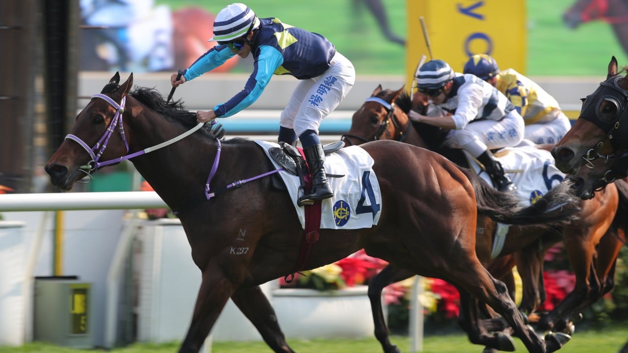 Mount Everest storms home under Keith Yeung.