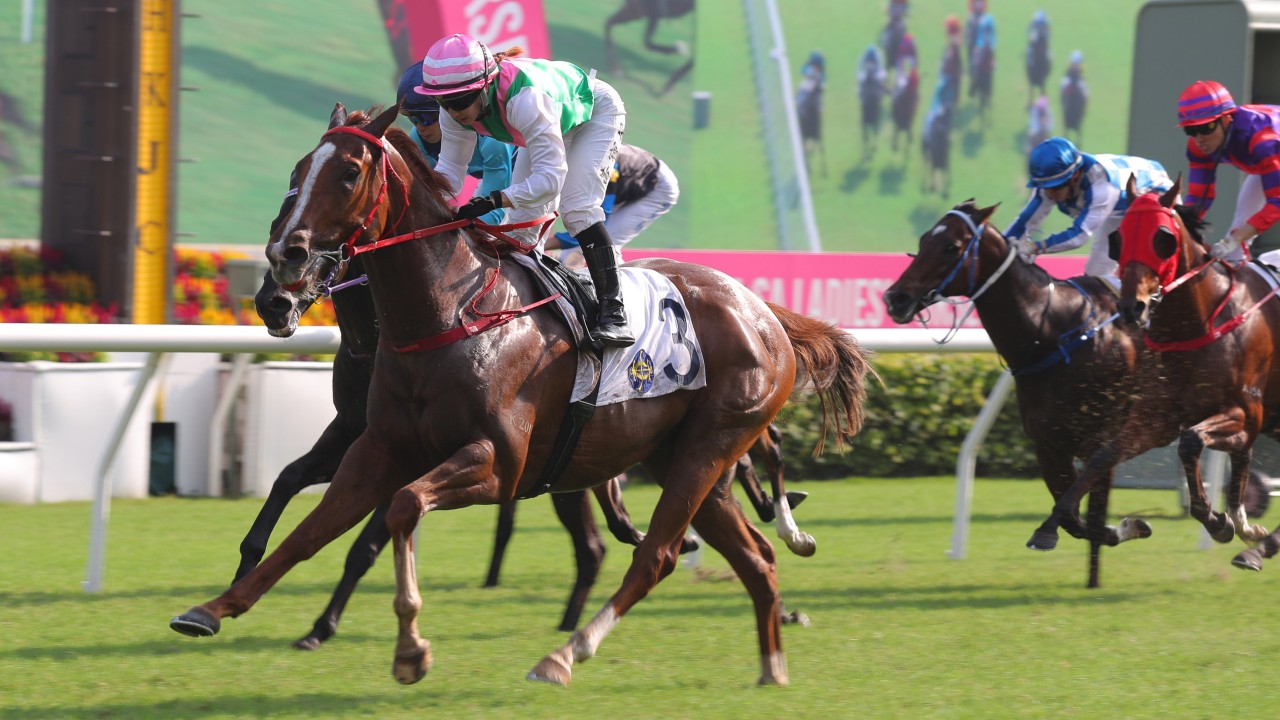Circuit Grand Slam makes a winning Hong Kong debut. Photos: Kenneth Chan