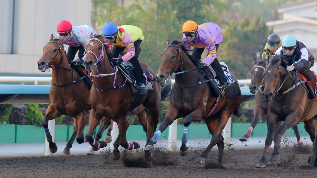 Little Paradise (orange cap) trials at Sha Tin last month.