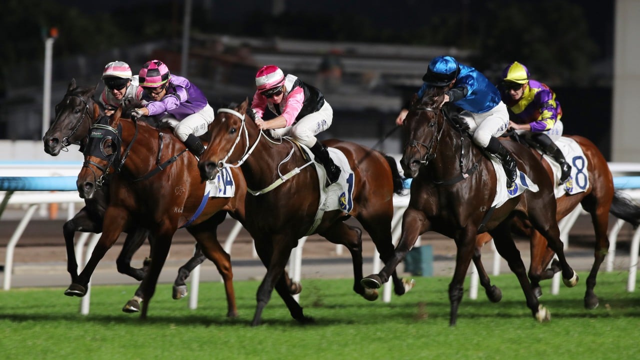 Beauty Bolt (pink sleeves) is collared by Dazzling Fit (blue) at Sha Tin.