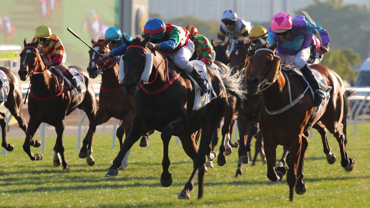 Money Catcher scrambles home at Sha Tin.