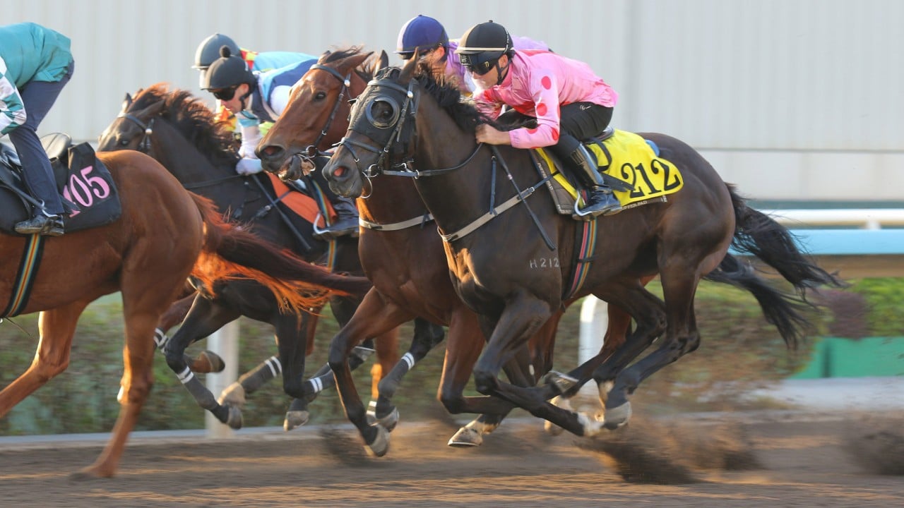 Chancheng Glory (pink) trials at Sha Tin.