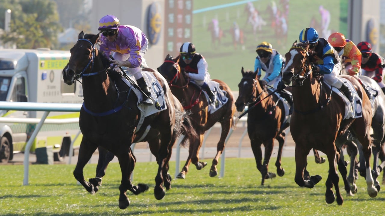 Little Paradise cruises to victory under Zac Purton in the Class Two Racing Club Cup (1,400m).