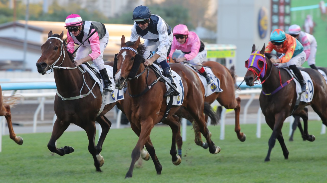 Invincible Ibis runs down Beauty Bolt to win impressively earlier this month. Photos: Kenneth Chan
