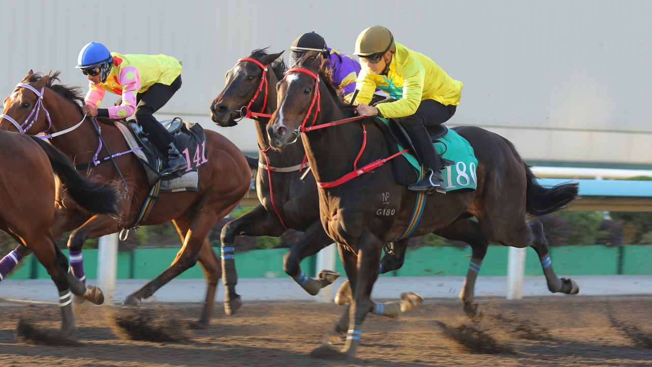 Lucky Sweynesse runs on for third in a recent dirt trial ahead of Sunday’s Stewards’ Cup. Photos: Kenneth Chan