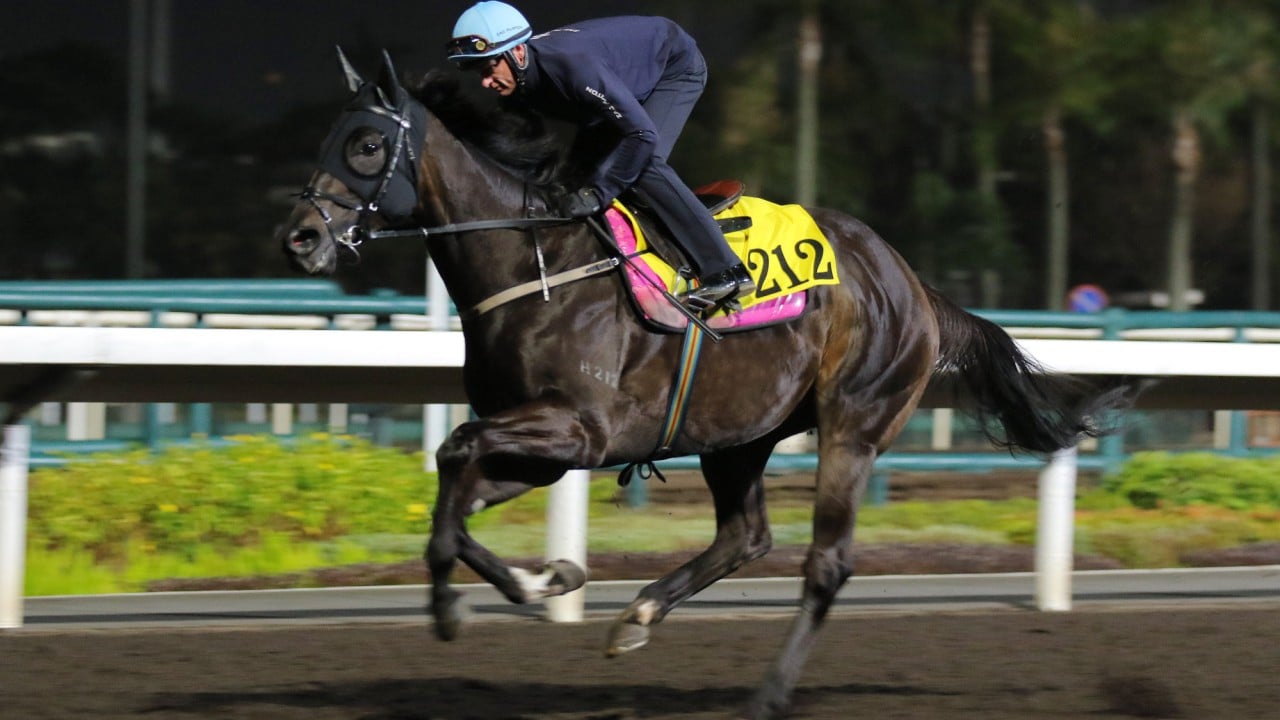 Chancheng Glory gallops under Zac Purton on Thursday morning.