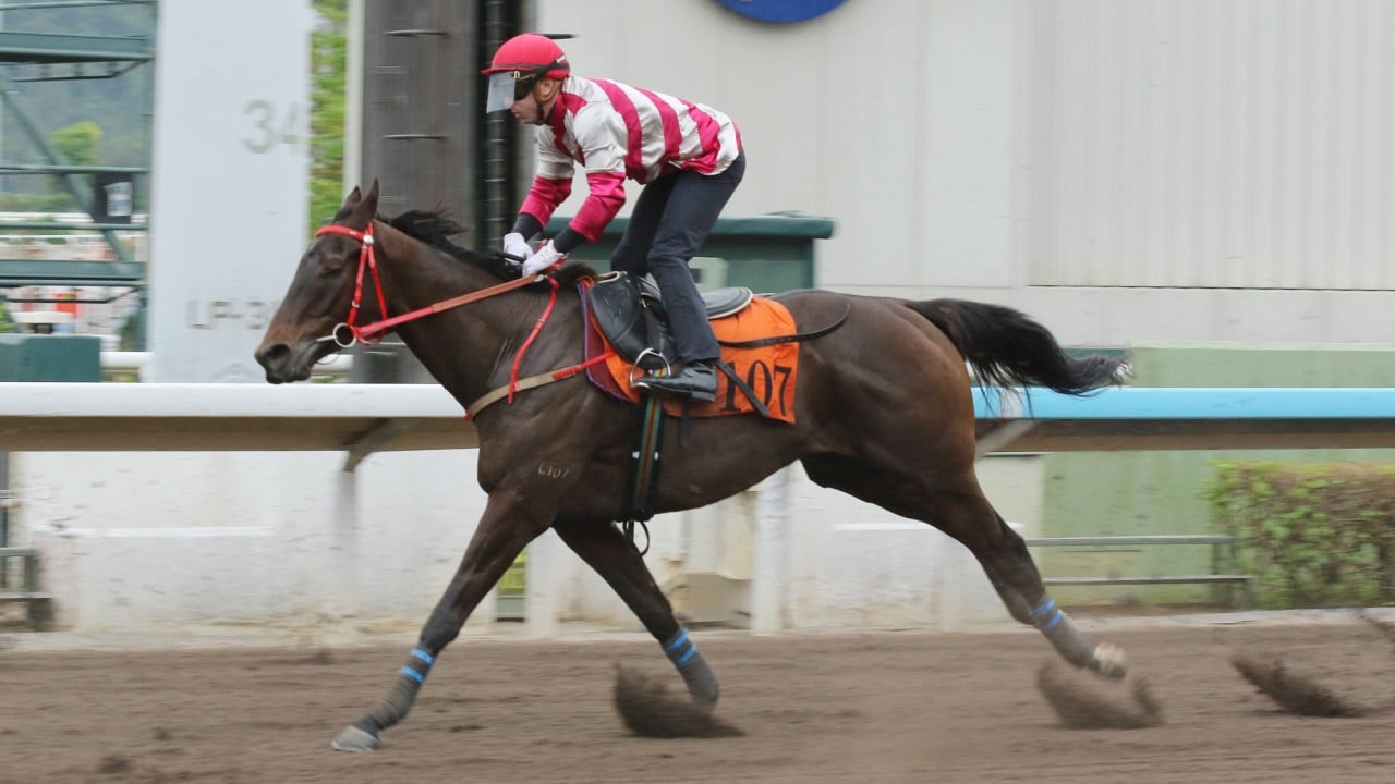 Enthusium trials under Brenton Avdulla at Sha Tin in November. 