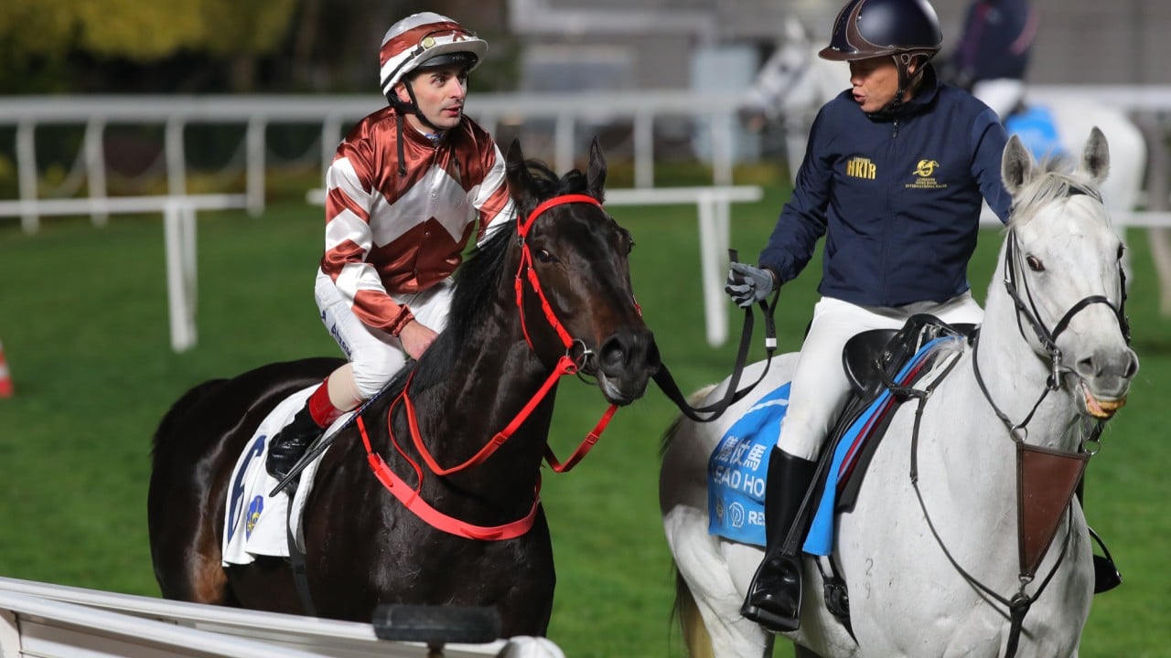 Sight Dreamer after going back to back at Sha Tin.