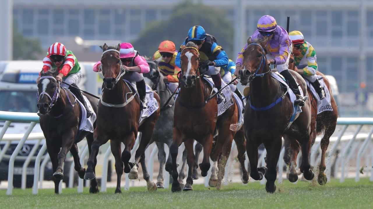 Top Dragon (far left) runs home strongly in the Classic Mile.