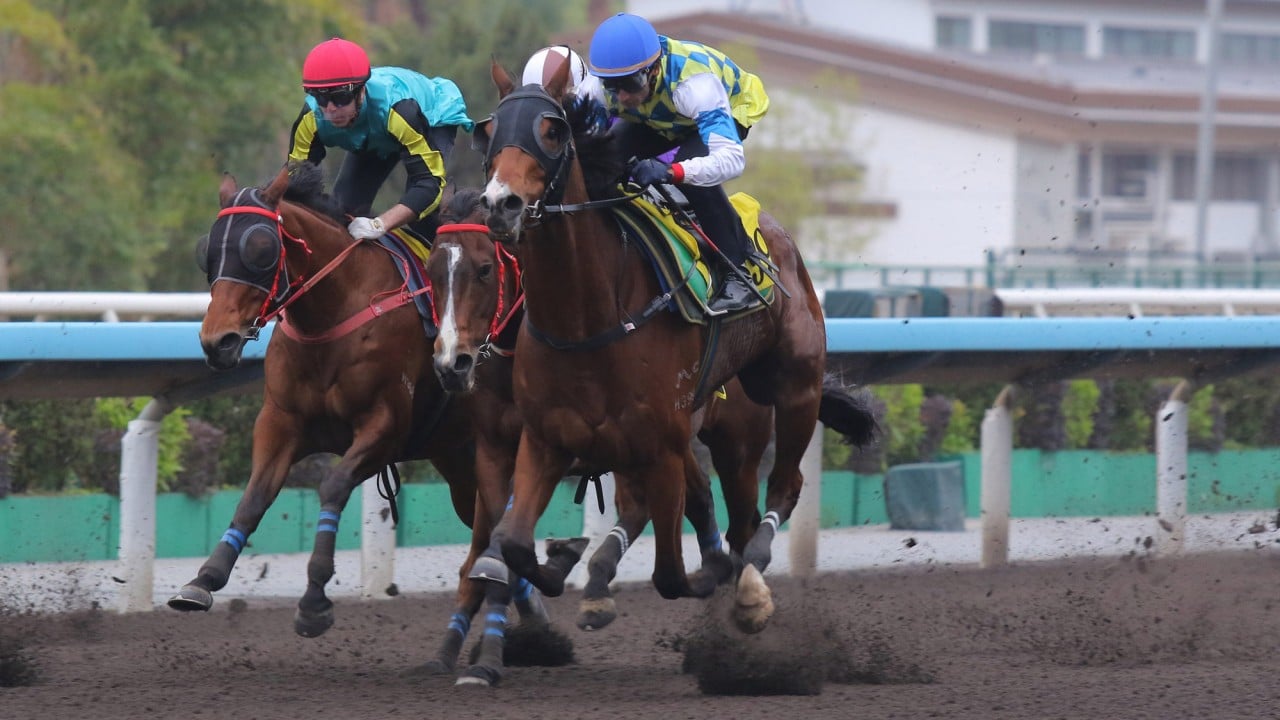 Galaxy Patch trials under Karis Teetan last week.