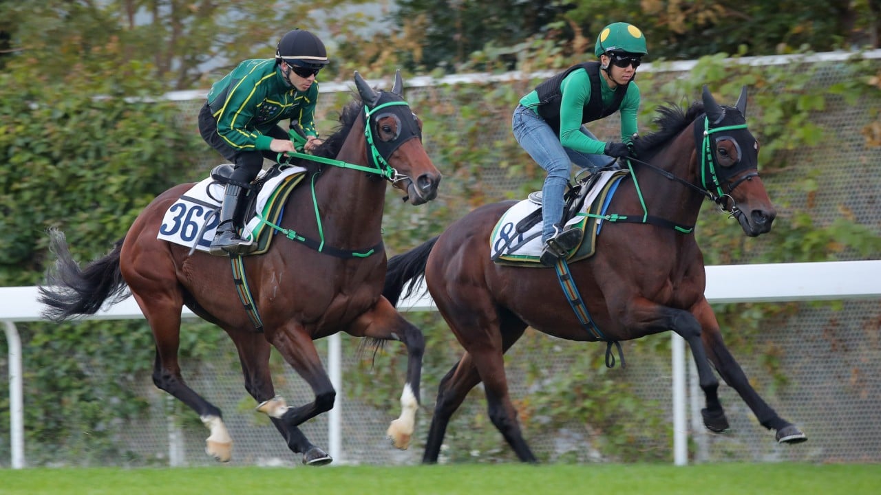 Refusetobeenglish (left) works at Sha Tin.