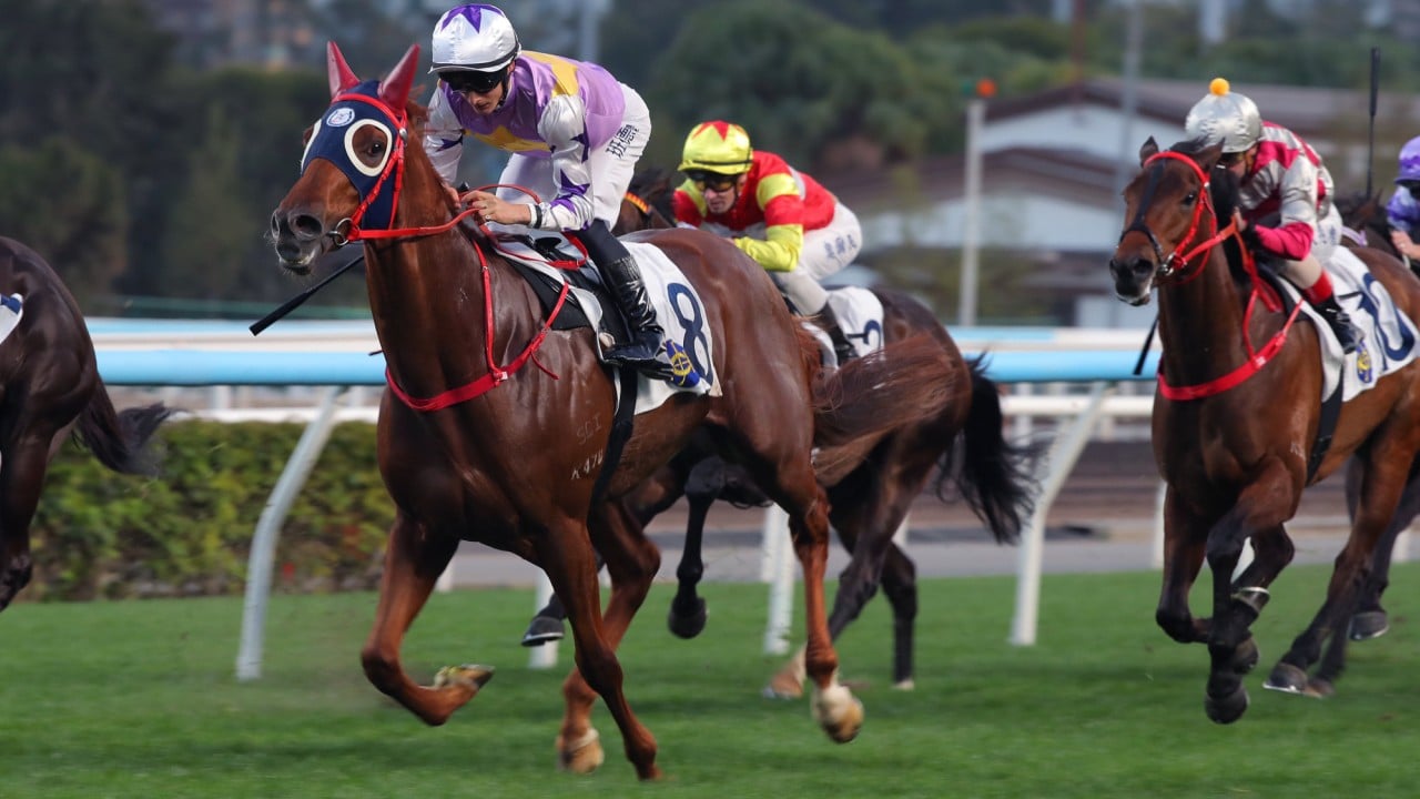 Stormy Grove runs on powerfully to score under Harry Bentley.