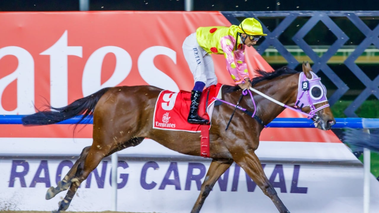 Sing Dragon finished eighth at Meydan on Saturday night with Karis Teetan on board. Photo: HKJC