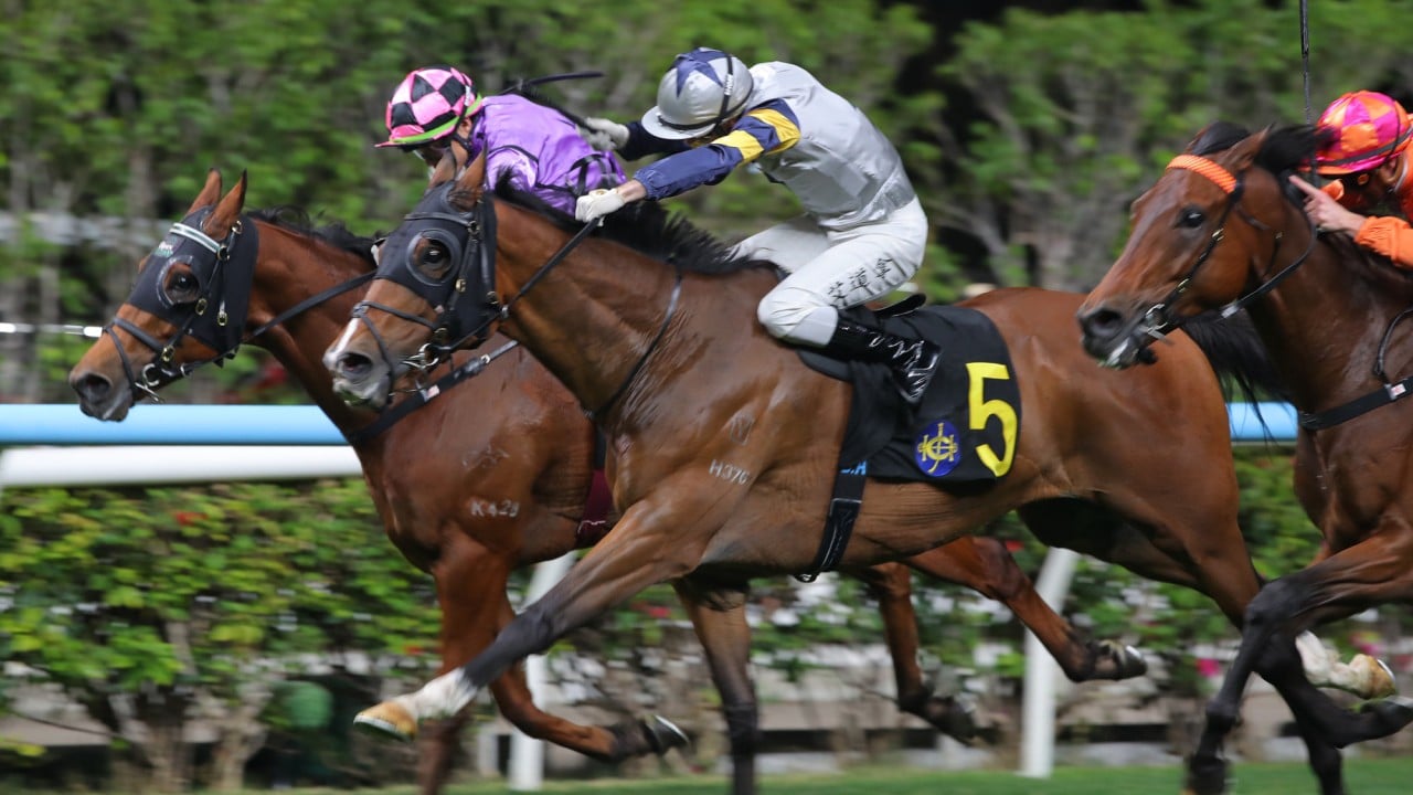 Withallmyfaith (inside) narrowly finishes third to Mr Dapper at Happy Valley last start.