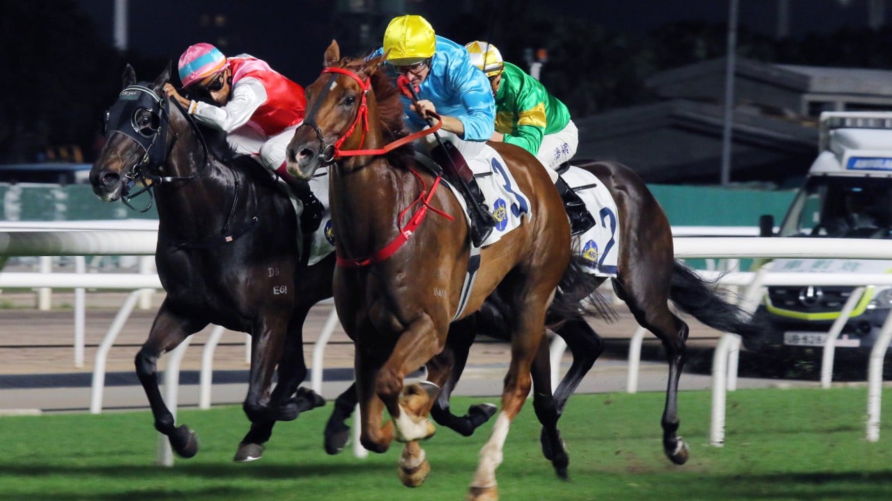 Wunderbar wins his most recent race at Sha Tin back in June. 