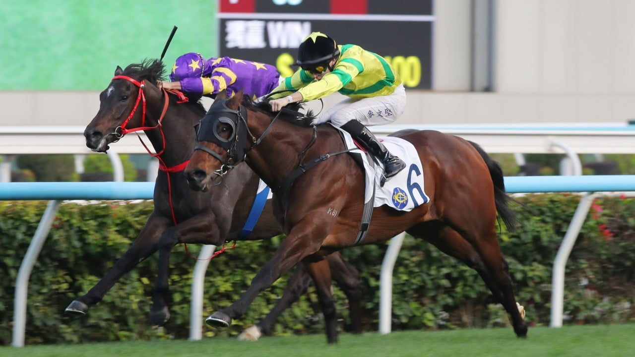 Super Express (far) battles on well to a recent second at Sha Tin.