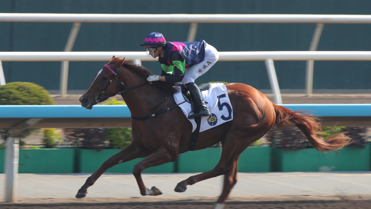 Supreme Sea wins on debut under Lyle Hewitson in January. Photos: Kenneth Chan