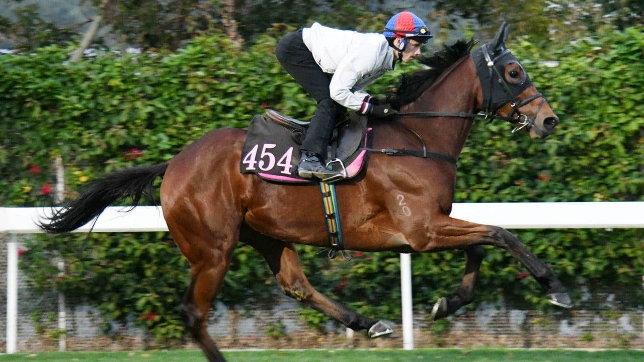 Lyle Hewiston takes Packing Angel for a spin around Sha Tin.