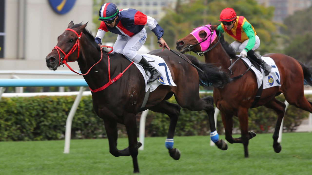 Derek Leung boots home Numbers in last month’s Group Three Centenary Vase at Sha Tin. Photos: Kenneth Chan