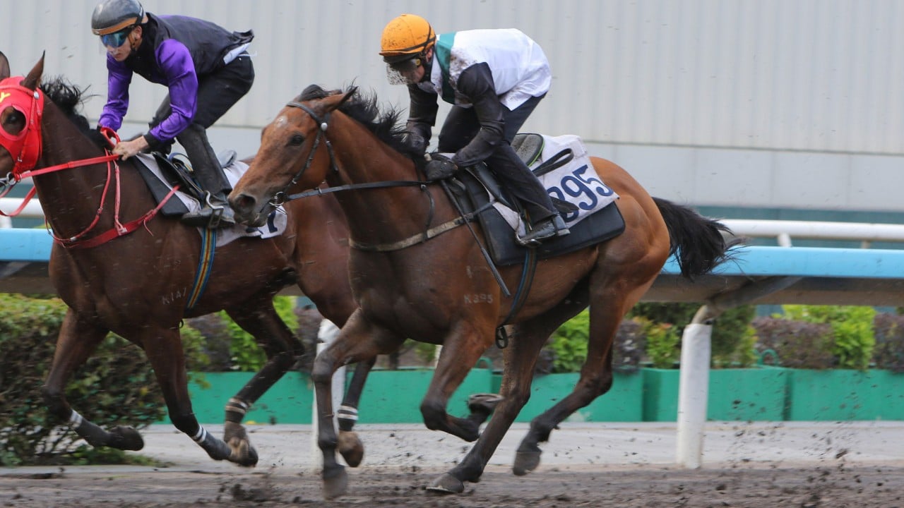 China win worked nicely in a recent trial, ridden conservatively by Zac Purton.