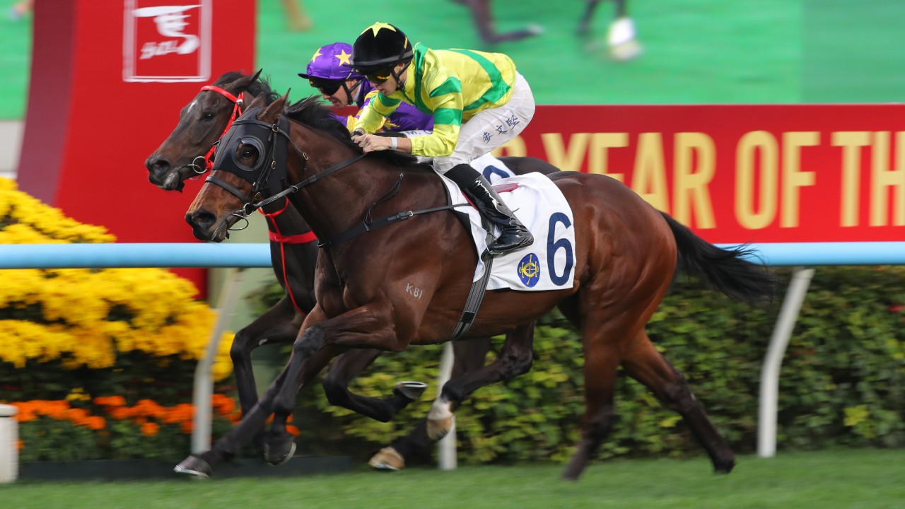 Riding Together scores at Sha Tin ridden by Dylan Browne McMonagle. Photos: Kenneth Chan