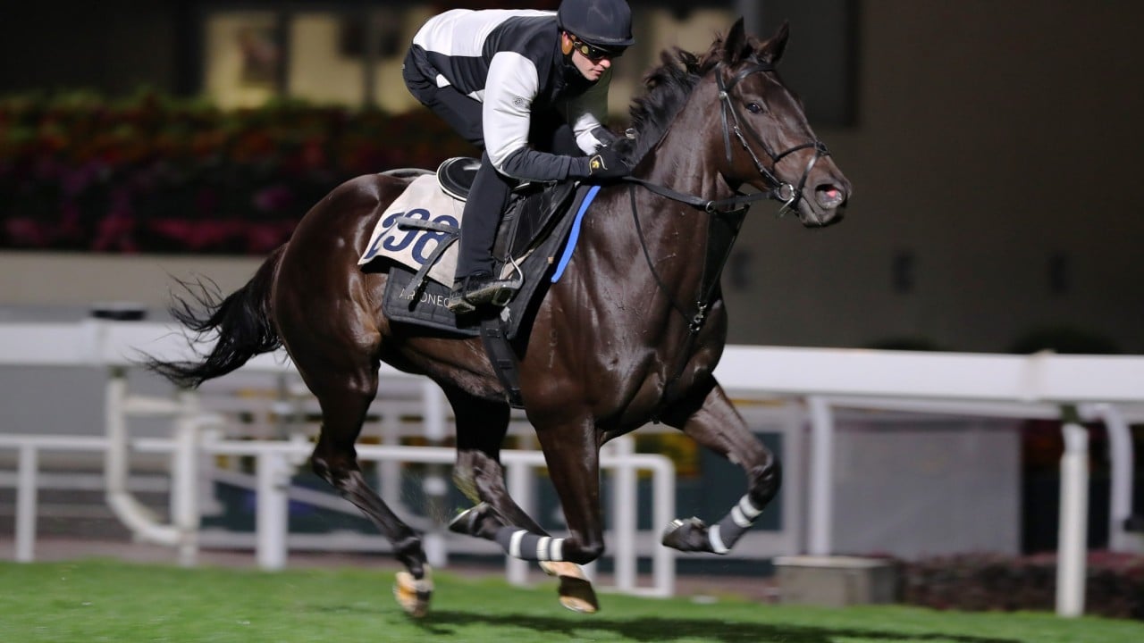 Dazzling Fit gallops on the Sha Tin turf under Luke Ferraris.