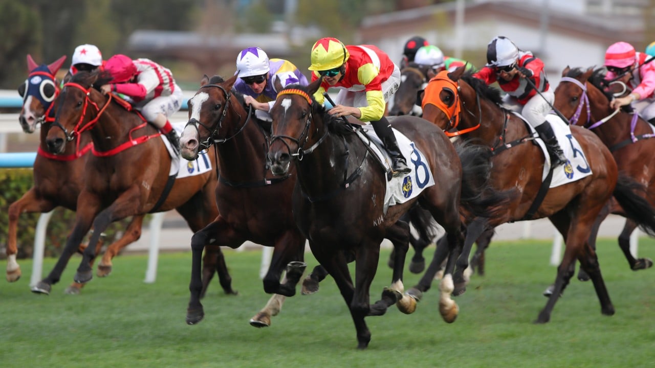 Seraph Gabriel (third from left) runs second to Lucky Sam Gor last month.